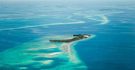 tarpon caye|Iba pa.